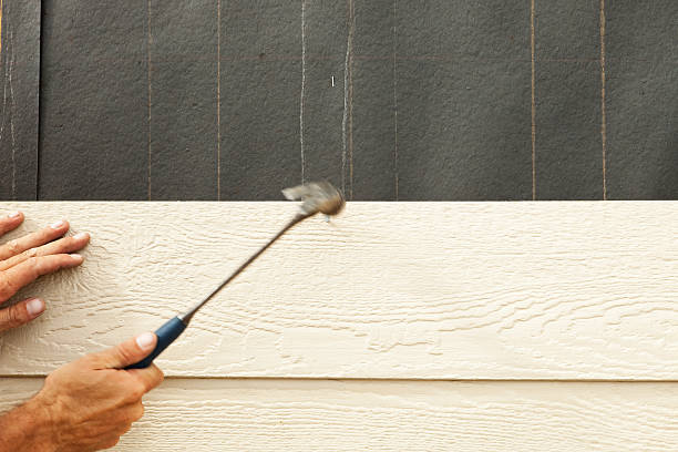 Best Storm Damage Siding Repair  in Lake Clarke Shores, FL